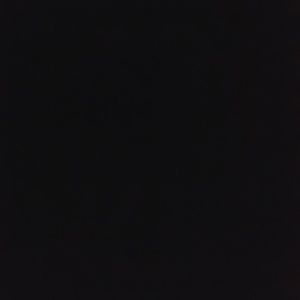 Meet your Posher, Annika